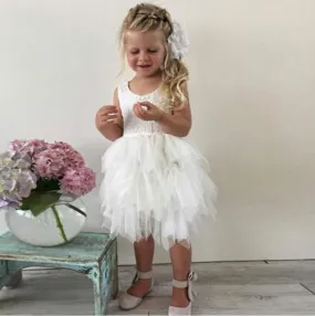 Tulle Lace Sleeveless Flower Girl Dresses, Lovely Tutu Dresses,  FGS002